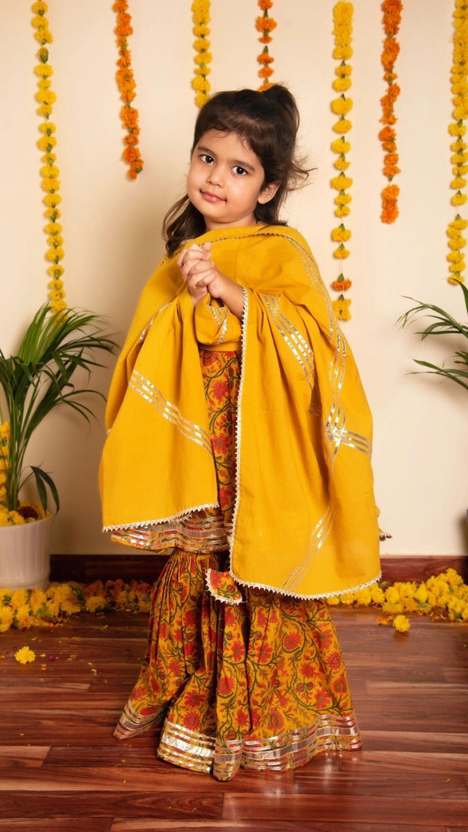 BACHPAN DARPAN SHARARA SET - Pomcha Jaipur