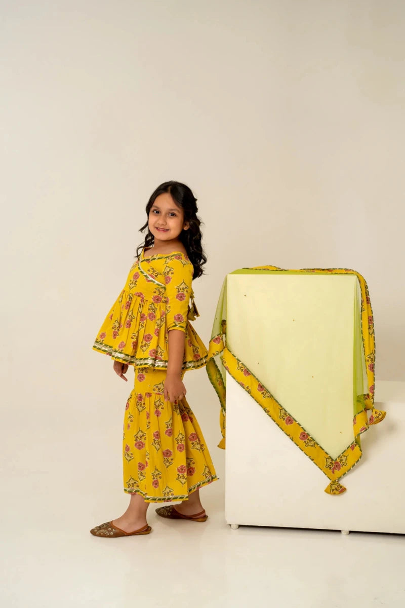 KHILKARI THE HONEY BEE COTTON SHARARA SET - Pomcha Jaipur