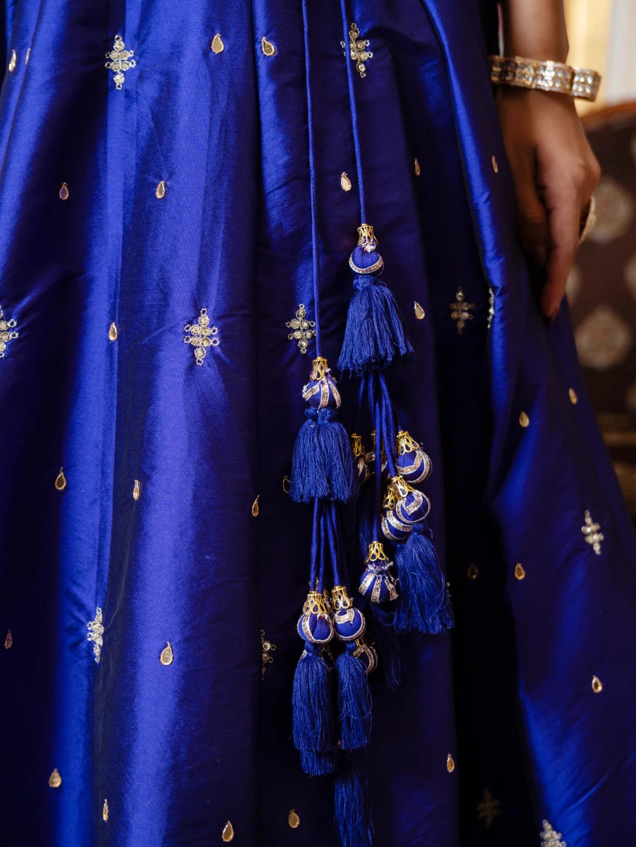 MEHFIL JAMUNI ZARI HAND WORK TAFFETA LEHENGA SET WITH ORGANZA DUPATTA - Pomcha Jaipur