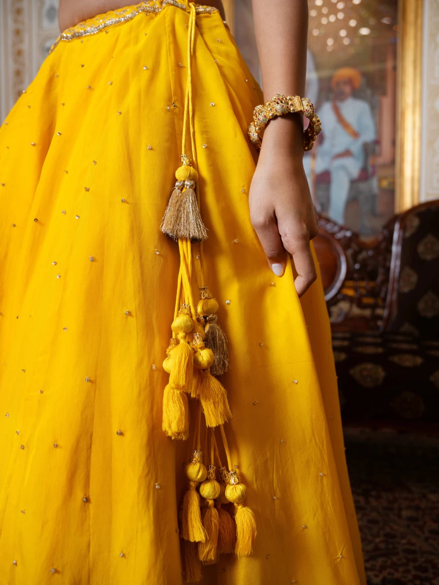 MEHFIL MARIGOLD SEQUIN ZARI HAND WORK ORGANZA LEHENGA SET WITH ORGANZA DUPATTA - Pomcha Jaipur