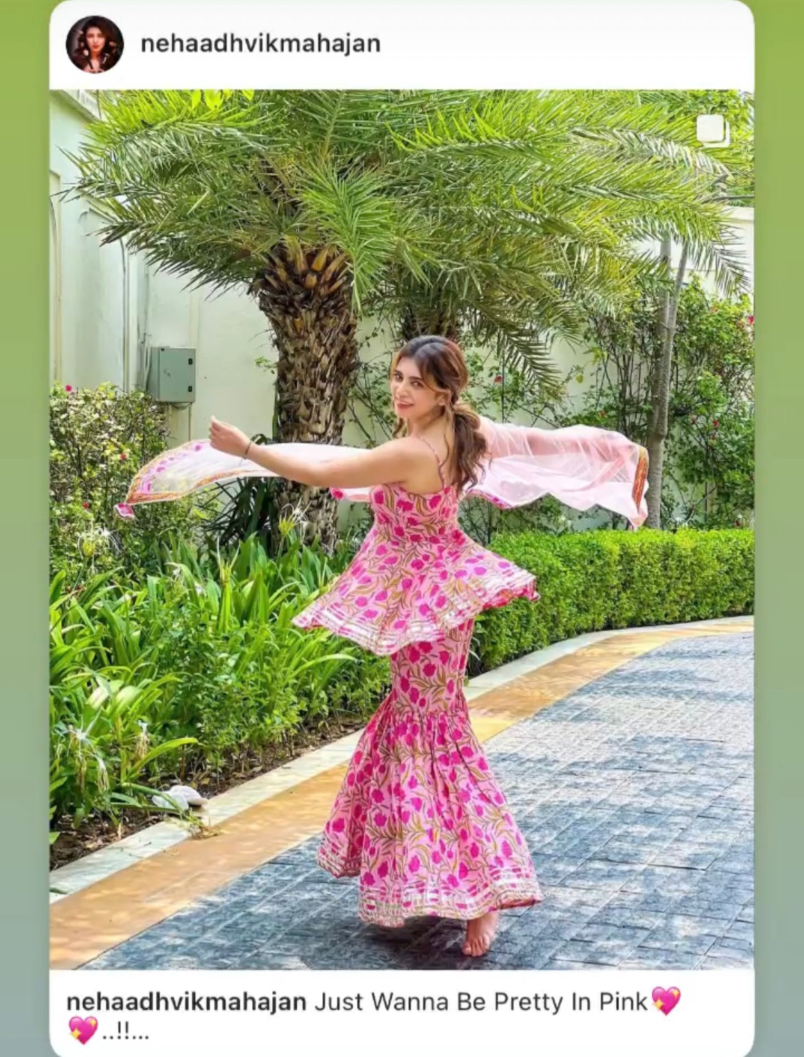 Celebrities X Pomcha