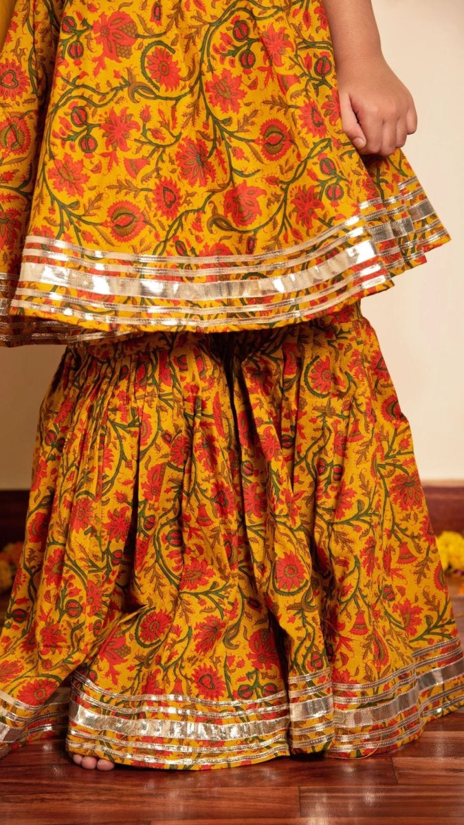 BACHPAN DARPAN SHARARA SET - Pomcha Jaipur