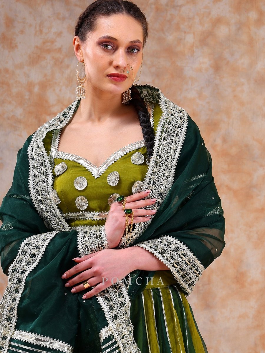 DIL KASH GREEN DOUBLE SHADE LEHENGA SET - Pomcha Jaipur