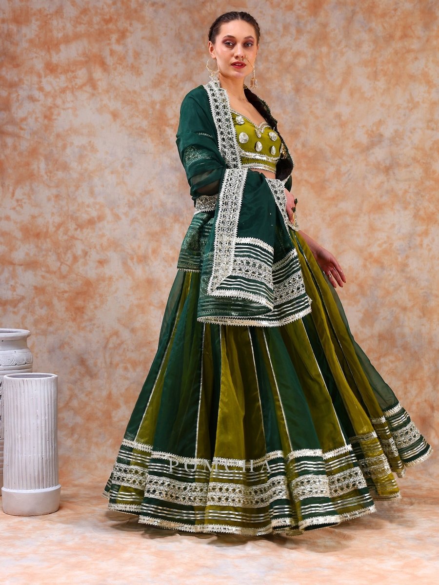 DIL KASH GREEN DOUBLE SHADE LEHENGA SET - Pomcha Jaipur
