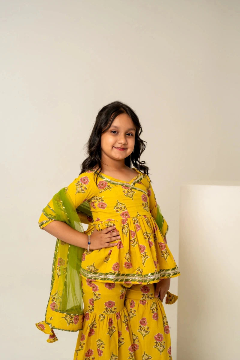 KHILKARI THE HONEY BEE COTTON SHARARA SET - Pomcha Jaipur