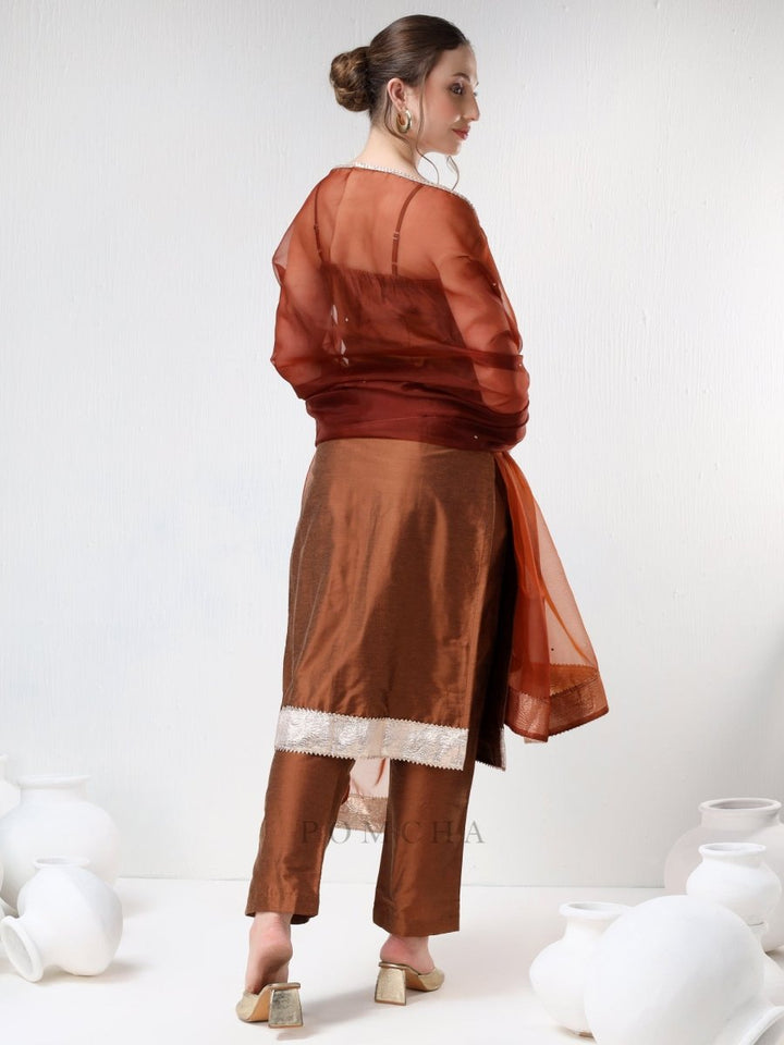 SADABHAR BROWN COTTON SILK SUIT SET - Pomcha Jaipur